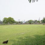 College Field